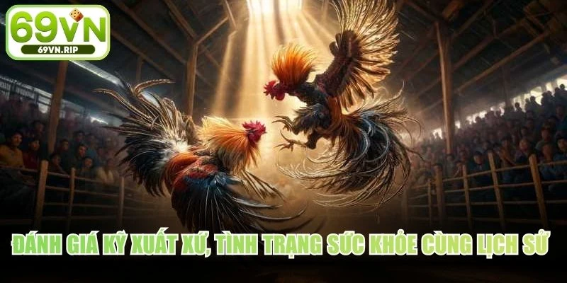 Đánh giá kỹ xuất xứ, tình trạng sức khỏe cùng lịch sử thi đấu