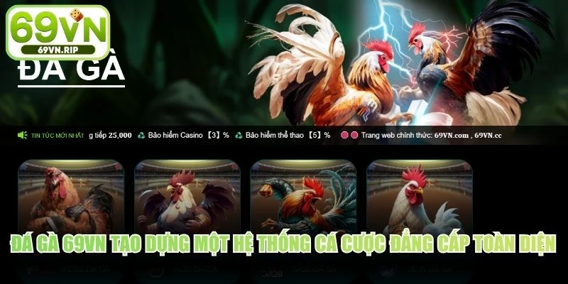 Đá gà 69VN tạo dựng một hệ thống cá cược đẳng cấp toàn diện